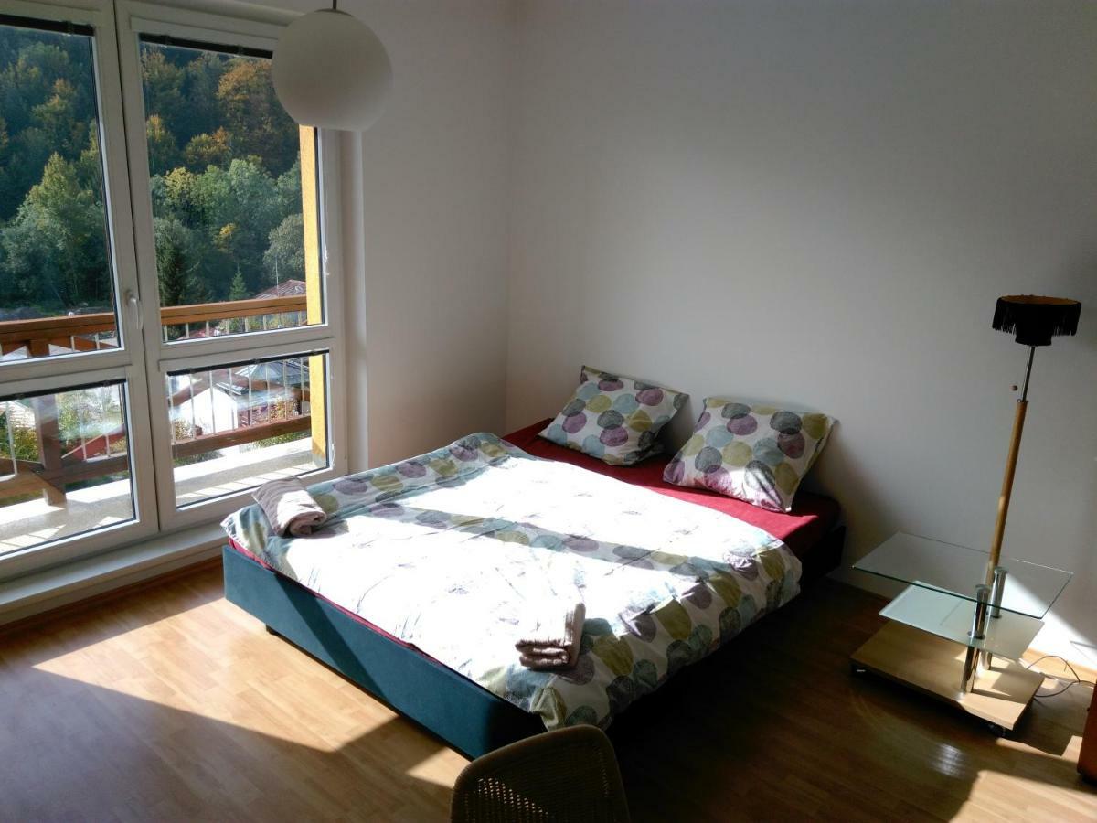 Apartment Maruska